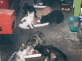 A Mâlain
