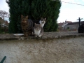 Hubert, Marguerite et Fleur