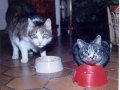 Julie et Titi