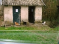 Hôtel des chats