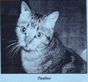Pauline 2