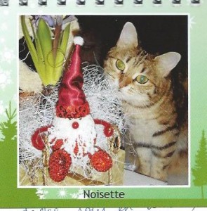 Noisette