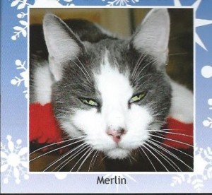 Merlin